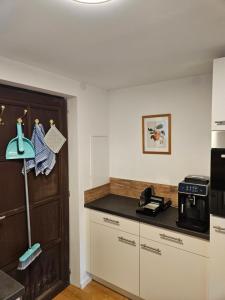 Kuchyň nebo kuchyňský kout v ubytování Cozy Reifnitz-mit Seezugang