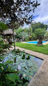 einen Teich voller Seerosenblätter in einem Hof in der Unterkunft Artgarden Juan dolio in Juan Pedro