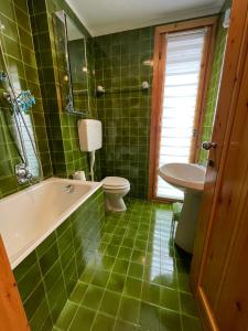 a green bathroom with a tub and a toilet and a sink at Chalet Le Case in Madonna di Campiglio +27 photos