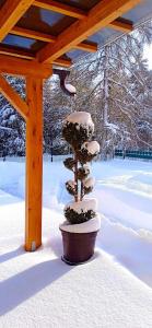 Fotografie z fotogalerie ubytování Wellness Villa Bobrik v destinaci Pribylina