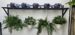 Billede fra billedgalleriet på Homestay Cỏ trên Mây i Liên Trì (4)