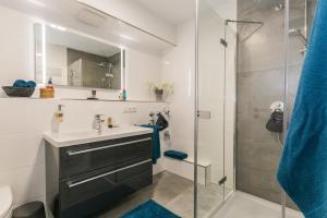 a bathroom with a sink and a shower at Birkenstraße 6 Haus II Whg2 in Zingst