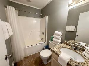 a bathroom with a sink and a toilet and a shower at Cottage 12 Lees Ford Marina in Nancy