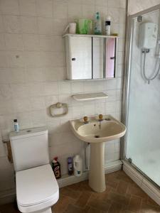 a bathroom with a toilet and a sink and a shower at Leicester UK Room 2 Edward House in Leicester