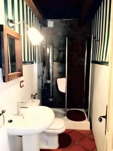y baño con lavabo, aseo y ducha. en 3 bedrooms house with shared pool enclosed garden and wifi at Alcaracejos, en Alcaracejos