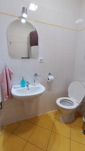 a bathroom with a toilet and a sink and a mirror at Penzion Duncan in Janske Lazne