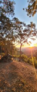 a tree on a hill with the sunset in the background at Pousada do Coura in Pouso Alto