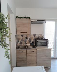 a kitchen with a sink and a microwave at Sunčani apartman 2 in Krupanj