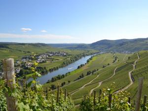 Osann-MonzelにあるWeingut Mathy-Schanzの町とぶどう畑のある川渓谷