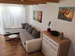 sala de estar con sofá y mesa en Apartment Tome Diklo, en Zadar