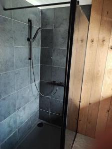 a shower with a glass door in a bathroom at Catstone Lodge Studio 2 in Mullingar