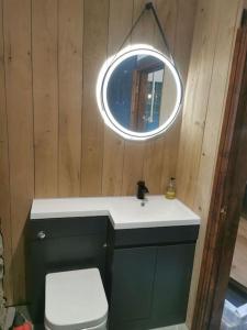 a bathroom with a sink and a mirror and a toilet at Catstone Lodge Studio 2 in Mullingar