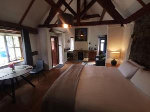 a bedroom with a bed and a living room at Catstone Lodge Studio 2 in Mullingar