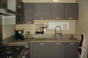 eine Küche mit Spüle und Arbeitsplatte in der Unterkunft La Grange in Vals-les-Bains + 2 Fotos