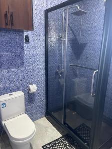 een badkamer met een toilet en een glazen douche bij The Vinesplash in Chantan
