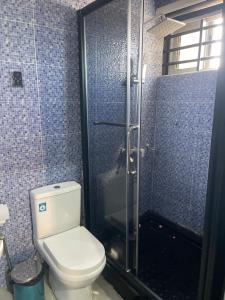 uma casa de banho com um WC e um chuveiro em The Vinesplash em Lapaz