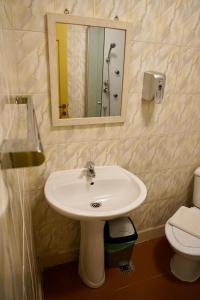 a bathroom with a sink and a mirror and a toilet at Vila Alfredo in Craiova