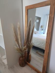 a mirror with a plant next to a bedroom at Chambre d'hôtes kaxu in Bassussarry