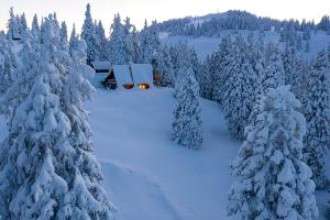 Tree House Alpinka Krvavec durante l'inverno