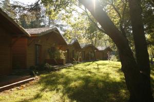 une rangée de cottages dans une cour avec un arbre dans l'établissement Jabłoń Lake Resort, à Pisz