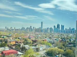 a view of a city with a bunch of buildings at Esil Riverside Elite Apartments in Astana +10 photos