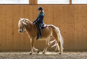 a person riding on the back of a horse at Antica Cascina B&B in Borghetto Lodigiano