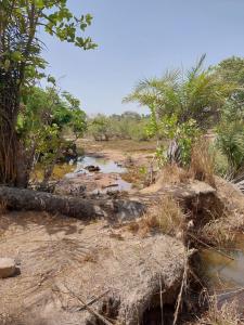 un campo de tierra con un arroyo de agua y árboles en Sunshine Guesthouse Bafuloto, 