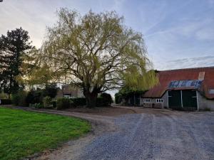 a tree next to a barn and a dirt road at De Bedstee in Schoondijke