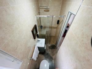 ein Bad mit einer Dusche, einem Waschbecken und einem WC in der Unterkunft Auberge de Bagneux in Bagneux