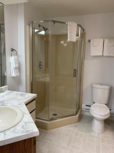 ein Bad mit einer Dusche, einem WC und einem Waschbecken in der Unterkunft Dells Suite Dreams At Lighthouse Cove Condominiums in Wisconsin Dells