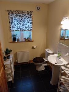 a bathroom with a toilet and a sink at Felicity Cottage in Kiltegan