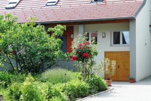 Zahrada ubytování Ferienhof Weingut Lunzer