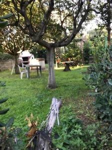 un parque con una mesa de picnic y un árbol en Appartamento sul mare la Conchiglia, en San Vincenzo
