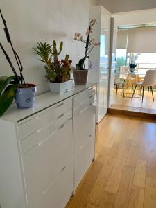 PANORAMIC MONACO VIEW, BnbRickeys في بوسولاي: مطبخ مع نباتات في أصص فوق خزانة +صورة واحدة