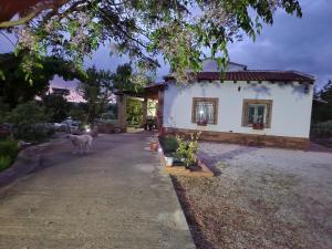 un perro parado frente a una casa en Apartamento El Baco entre viñedos, en Arriate