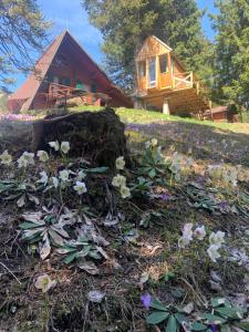 Giardino di Tree House Alpinka Krvavec