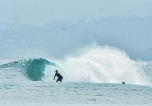 um homem a surfar uma onda numa prancha de surf no oceano em Krui Surfing em Wainapal