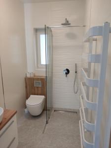 佐伯的住宿－Domek Pod Tatrami，一间带卫生间和玻璃淋浴间的浴室