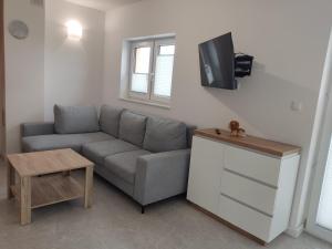 佐伯的住宿－Domek Pod Tatrami，带沙发和平面电视的客厅