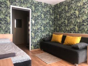 a living room with a black couch and a green wall at Noclegi na Sudeckim in Świebodzice