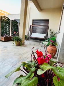 eine Terrasse mit einer Bank sowie Pflanzen und Blumen in der Unterkunft Al Manzil in Locogrande