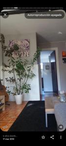 un salon avec une table et une plante dans l'établissement Apartamento Near airport, à La Laguna