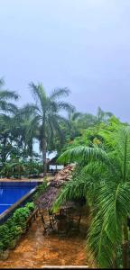 a resort with a pool and chairs and palm trees at Beachfront M. A.apartment in Dar es Salaam