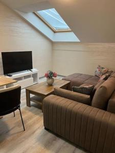 a living room with a couch and a tv at Villa Moste 5 -with pool&parking in Ljubljana