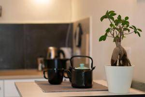 a plant in a pot sitting on a kitchen counter at Ladri di biciclette in Sora