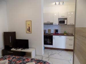 Kuchyňa alebo kuchynka v ubytovaní Apartment Leporiz + 36 fotografií