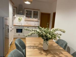 Kuhinja oz. manjša kuhinja v nastanitvi Apartma ROGATEC + 5 fotografij