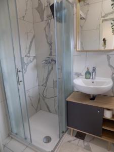 W łazience znajduje się prysznic i umywalka. w obiekcie Apartment Leporiz w Poreču