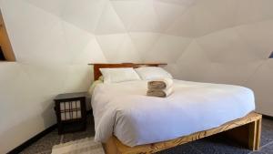 um pequeno quarto com uma cama com uma almofada em San Pedro Domos em San Pedro de Atacama