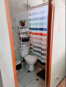 La salle de bains est pourvue de toilettes et d'un rideau de douche à rayures. dans l'établissement Acogedor apartamento, à La Pampilla